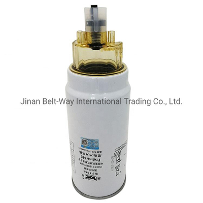 Sinotruk HOWO Shacman Lkw-Motoren Teile Treibstoff Feinfilter Vg1540080311 mit Standard