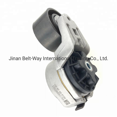 chinesische Lieferanten HOWO Vg2600060313 Lkw-Gürtel-Spannpulle für den Sinotruk Weichai-Motor