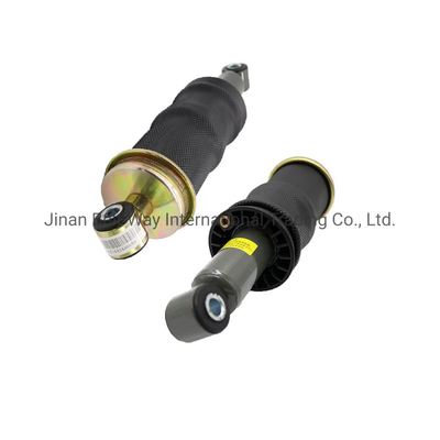 Teile des Lenksystems Wg1642440086 Luftschlagdämpfer für Sinotruk HOWO Autoteile