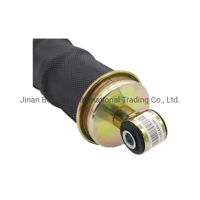 Teile des Lenksystems Wg1642440086 Luftschlagdämpfer für Sinotruk HOWO Autoteile