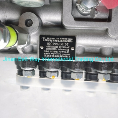 Sinotruk HOWO Lkw-Teile Brennstoffspritzapumpe Vg1560080021 mit Zahlungsunterstützung in USD