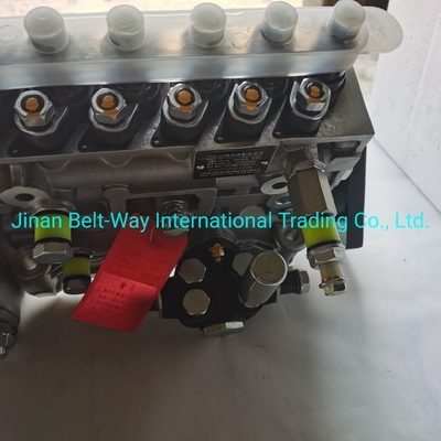Sinotruk HOWO Lkw-Teile Brennstoffspritzapumpe Vg1560080021 mit Zahlungsunterstützung in USD