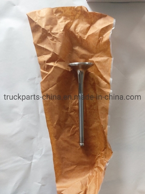 Elektrische Systemteile Sinotruk HOWO Lkw-Motor Abgasventil Vg1560050041
