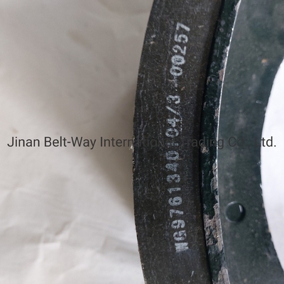 Sinotruk HOWO Lkw-Bremsschuhen Wg9761340104-3 mit Teilen für das Antriebssystem der Vorderachse