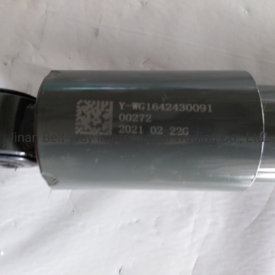 Antriebssystemteile Schlagdämpfer Wg1642430091 für Sinotruk HOWO
