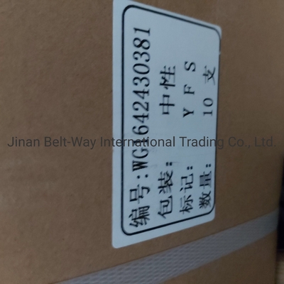 Langlebigkeit Schlagdämpfer Wg1642440028 für Lkw-Motorteile von Sinotruk HOWO