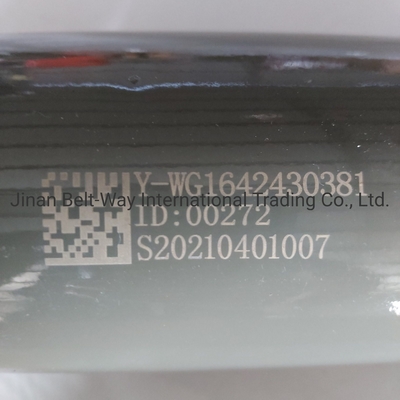 Langlebigkeit Schlagdämpfer Wg1642440028 für Lkw-Motorteile von Sinotruk HOWO