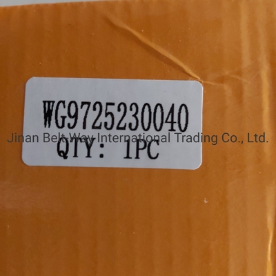 Teile des Bremssystems Wg9725230040 Kupplungs-Boosterzylinder für Sinotruk HOWO Truck OEM