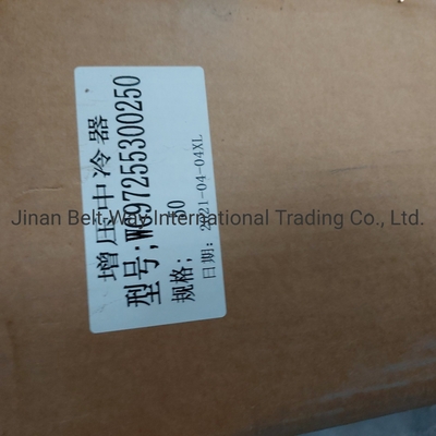 Sinotruk HOWO Lkw-Ersatzteile Supercharged Intercooler Wg97255300250 Wg9725530020