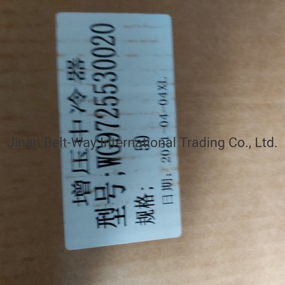 Sinotruk HOWO Lkw-Ersatzteile Supercharged Intercooler Wg97255300250 Wg9725530020