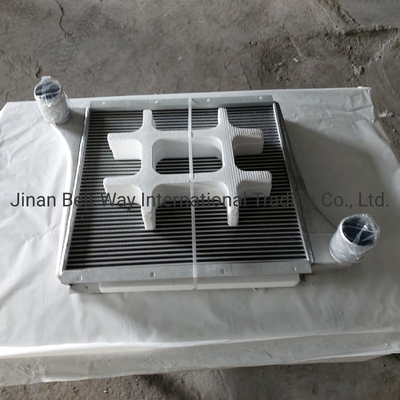 Sinotruk HOWO Lkw-Ersatzteile Supercharged Intercooler Wg97255300250 Wg9725530020