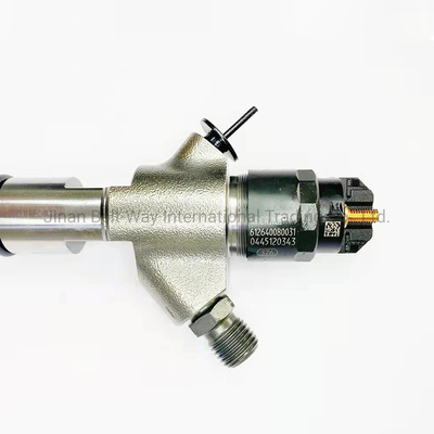 Südostasien Kraftstoffinspritzmontage 612640080031 0445120343 für Weichai Wp10.336 Motor