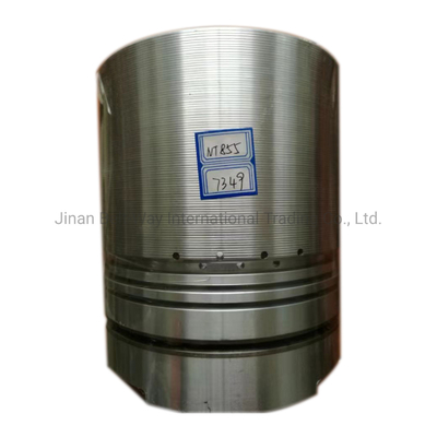 Standard Nt855 Dieselmotor Kolben Teilenummer 3017349 für Leistung