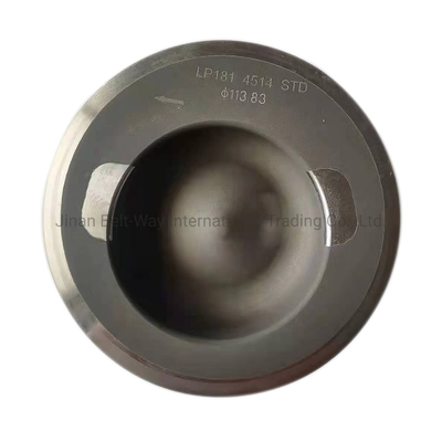 100% getestet Standardmotorteil Kolben 3919565 für Cummins 6CT per See/Luft/Kurrier