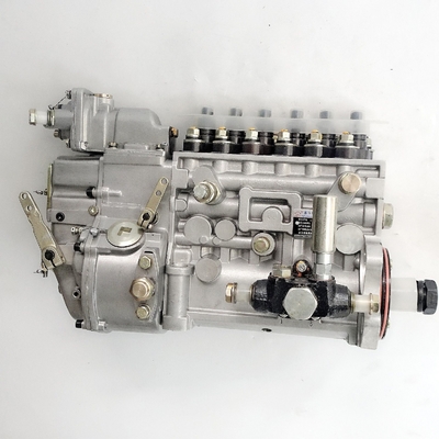 Shacman F3000/F2000 Lkw-Teil WP12 Motor Kraftstoffspritzgaspumpe Montage 612601080397