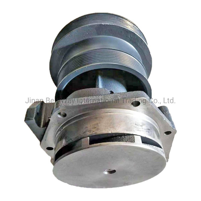 Weichai Power Dieselmotor Wasserpumpe 612600060389 mit jeder Zahlung geschützt