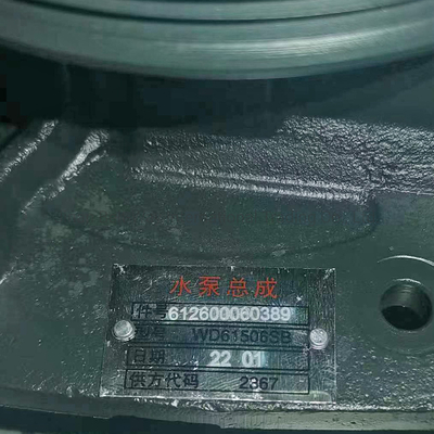 Wasserpumpe 612600060389 für Sinotruck HOWO Shacman FAW Dongfeng Original Ersatzteile
