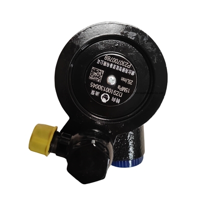Kraftlenkpumpe DZ9100130045 Shaanxi Auto Delong X3000F3000M3000 Originalzubehör für Fahrzeuge